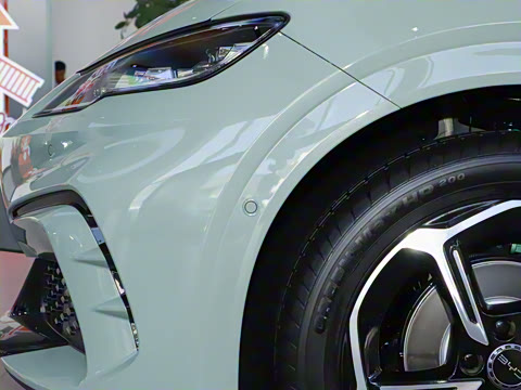 2025�� 505����Plus��