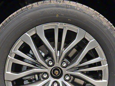 2024�� ˫�� 2.5L E-CVT��������PLUS��