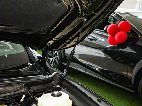 2025�� 350h ����������