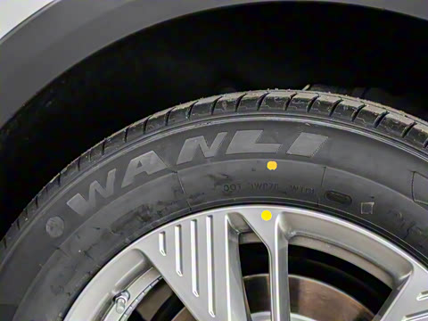 2025�� 445km ���ð�