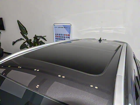 2025�� ����� 125 ������