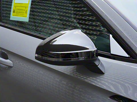 2024�� RS 5 2.9T Sportback ȼ���