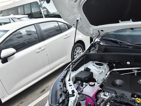 2024�� ˫�� 2.5L CVT����������