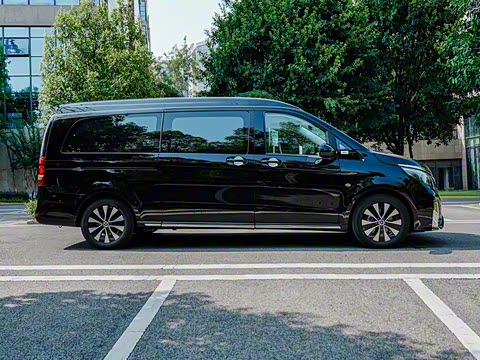 2024�� ��ʨϵ�� 2.0T 7��