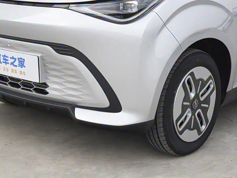 2025�� 305km ������