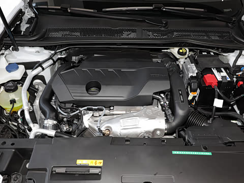 2025�� 508L 400THP Ԧ���콢��