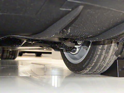 2025�� ����������