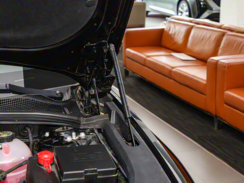 2023�� 25T �����