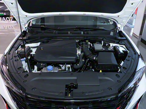 2024�� PLUS ����NE 1.4T GDI DCT���ܰ�