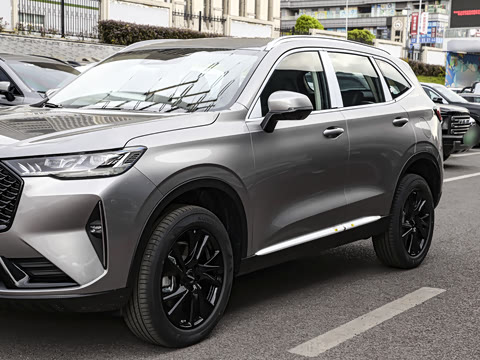 2024�� ������ 2.0T �Զ�����Max