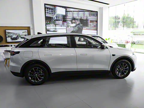 2024�� ���� 515������