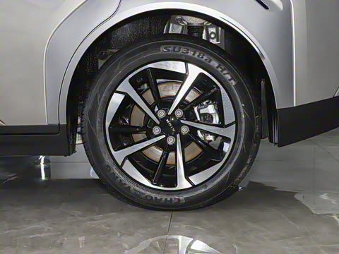 2024�� Younger ��ҫ��