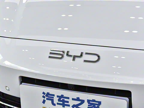 2025�� DM-i 80KM�����