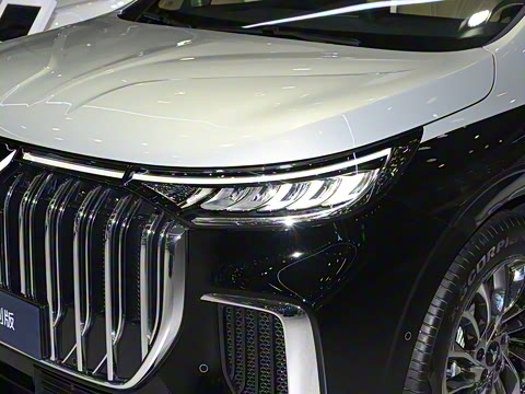 2024�� ˽�˶��ư�