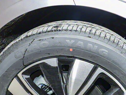 2025�� ���� ����� 230 ������