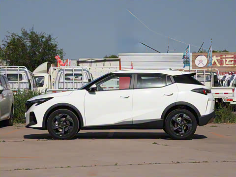 2025�� Ӱ�� 270T ������ ƽ������