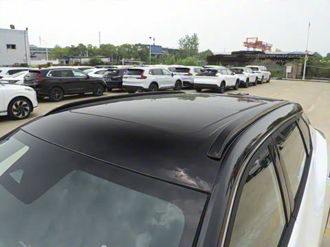 2025�� 205��������������