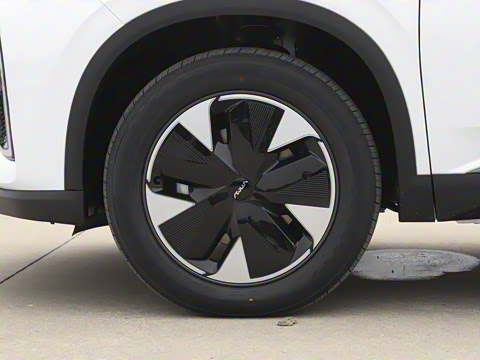 2025�� 205��������������