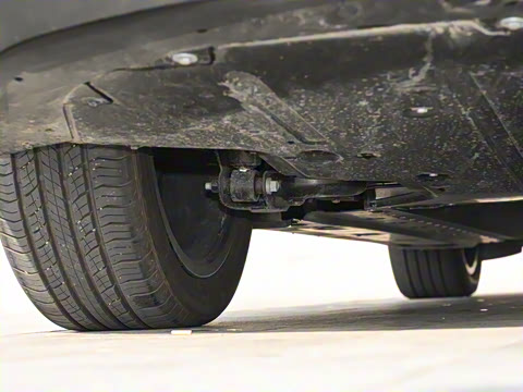 2025�� 600 �������� Max