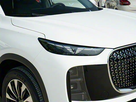 2025�� 290TGDI DCT������ 