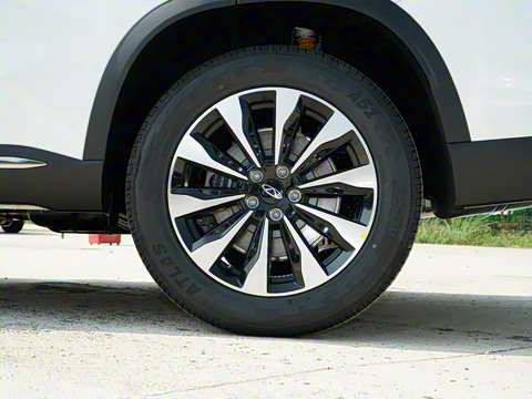 2025�� 290TGDI DCT������ 