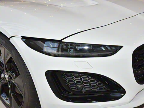 2024�� P300 75�����س����