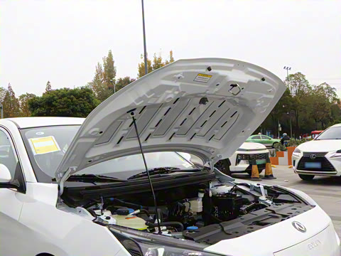 2025�� PRO ���а�