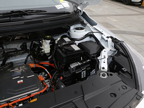 2025�� PRO ���а�