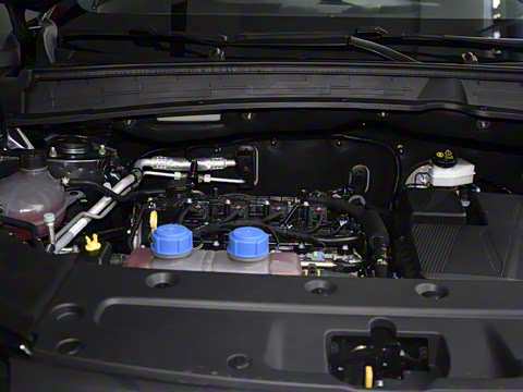 2025�� ����� 125 ��Խ��