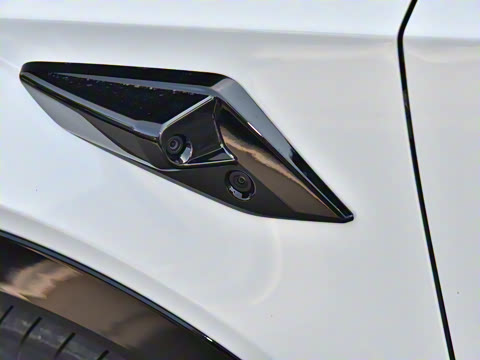 2025�� 550 PRO���а�