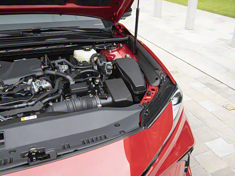 2024�� ˫�� 2.5HXS �˶�Plus��