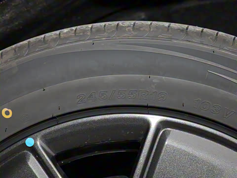 2024�� 501km ������������