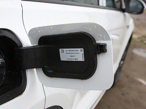 2025�� 300TSI DSG���������