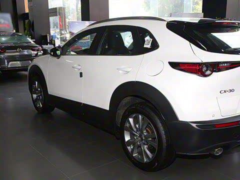 2024�� 2.0L �Զ�������