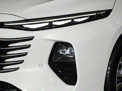 2024�� ���Ĵ� 2.0T �캽��