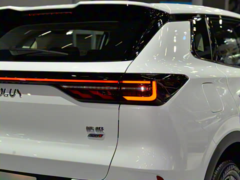 2025�� ���ն��� 1.5T �����