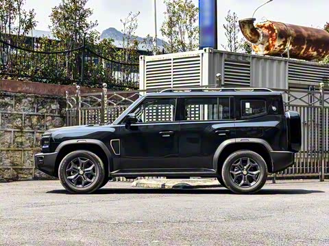 2025�� 2.0TD DCT XWD��Խ