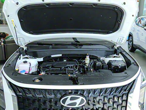 2023�� ��� 2.0L ������DLX