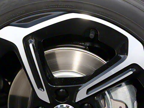 2025�� 505����Plus��