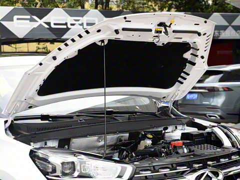 2024�� 230TCI �Զ��³��� 7��