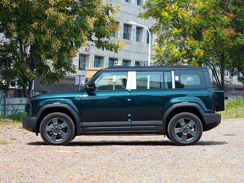 2024�� 501km ������������