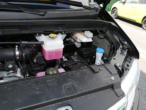 2025�� PLUS 2.0L ��Ӣ��