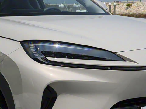 2025�� 135 �����ܼ����״��