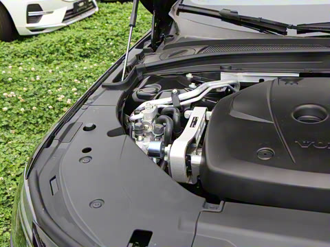 2026�� ���ʽ�춯 �������������ź�����