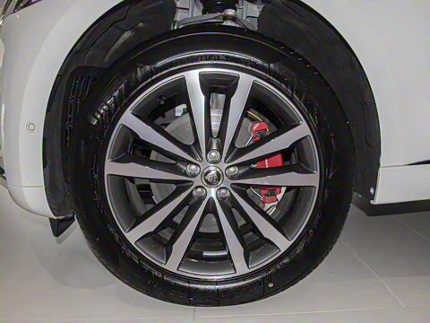 2025�� P250 R-Dynamic SE