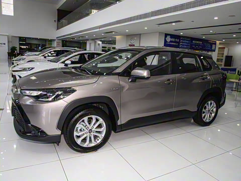 2024�� 2.0L ���ܵ��˫�� ���Ȱ�