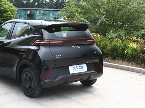 2025�� 305km ������