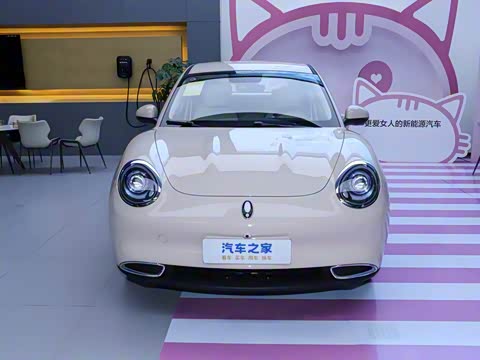 2024�� 401km ������