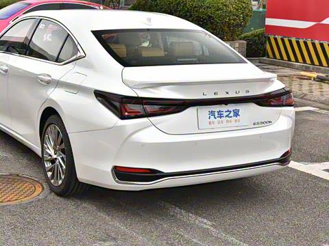 2025�� 300h ������