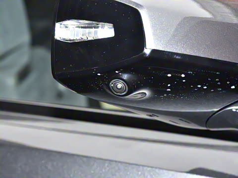 2025�� ���羫Ӣ��